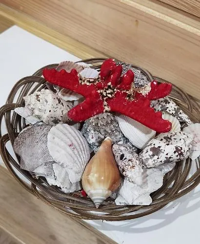 Pensjonat Magic Box 3*