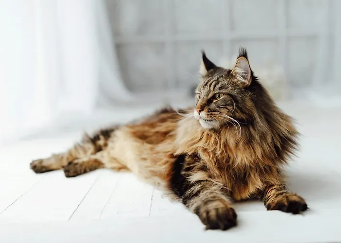 Magic Box 3* Konstanca