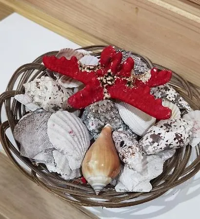 Maison d'hôtes Magic Box 3*